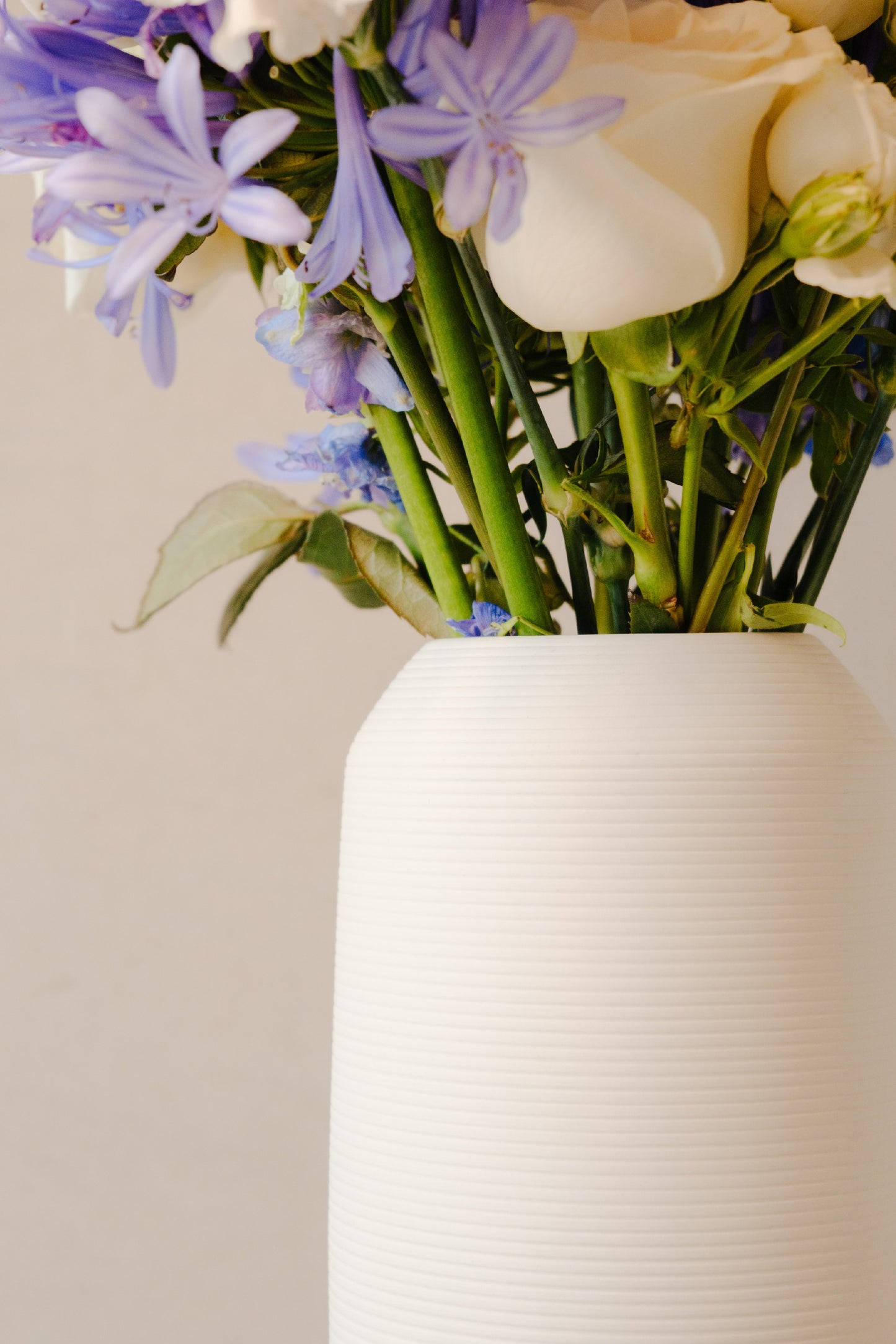 Florero Lang