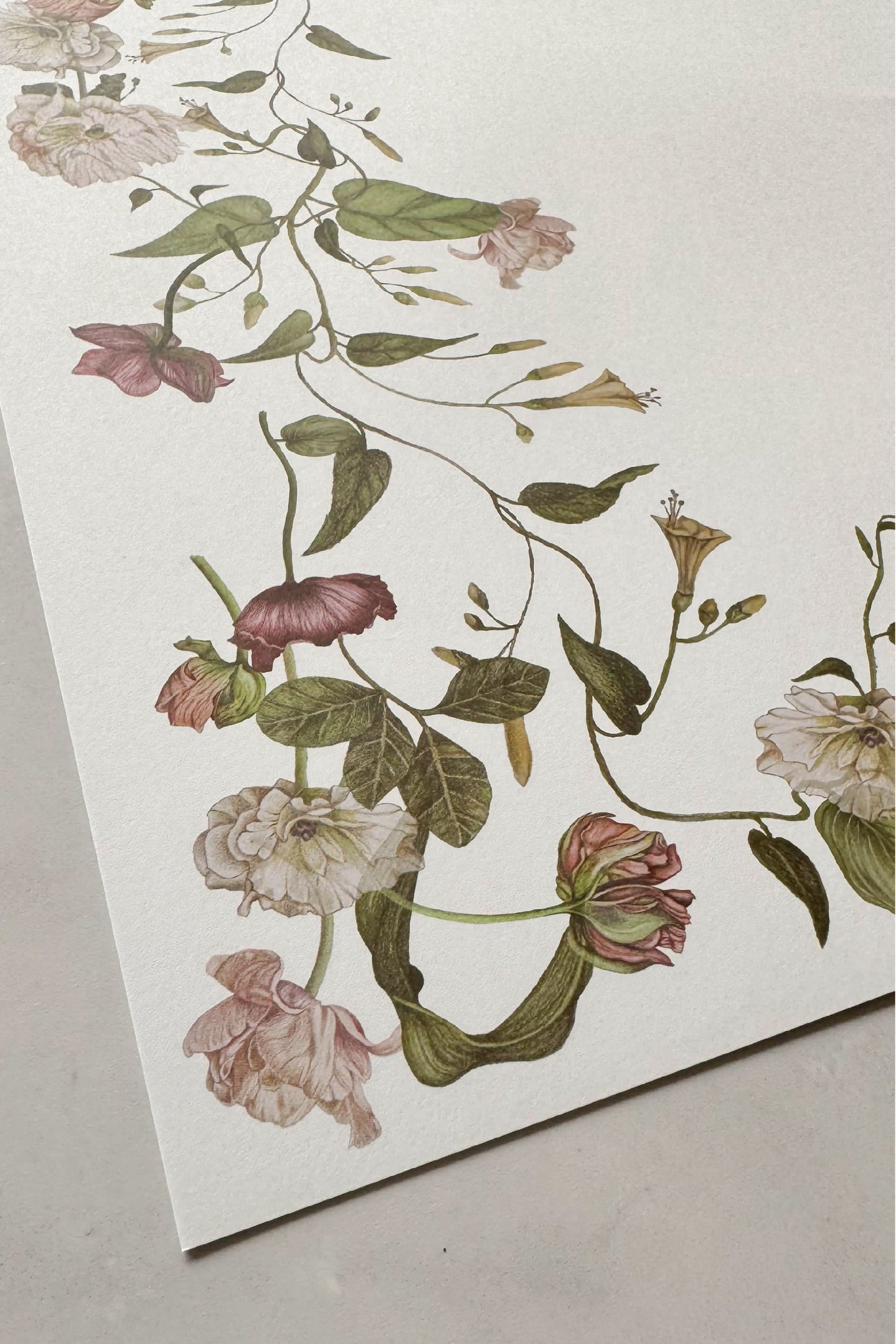 Set Floral PECE de 24 Individuales de papel