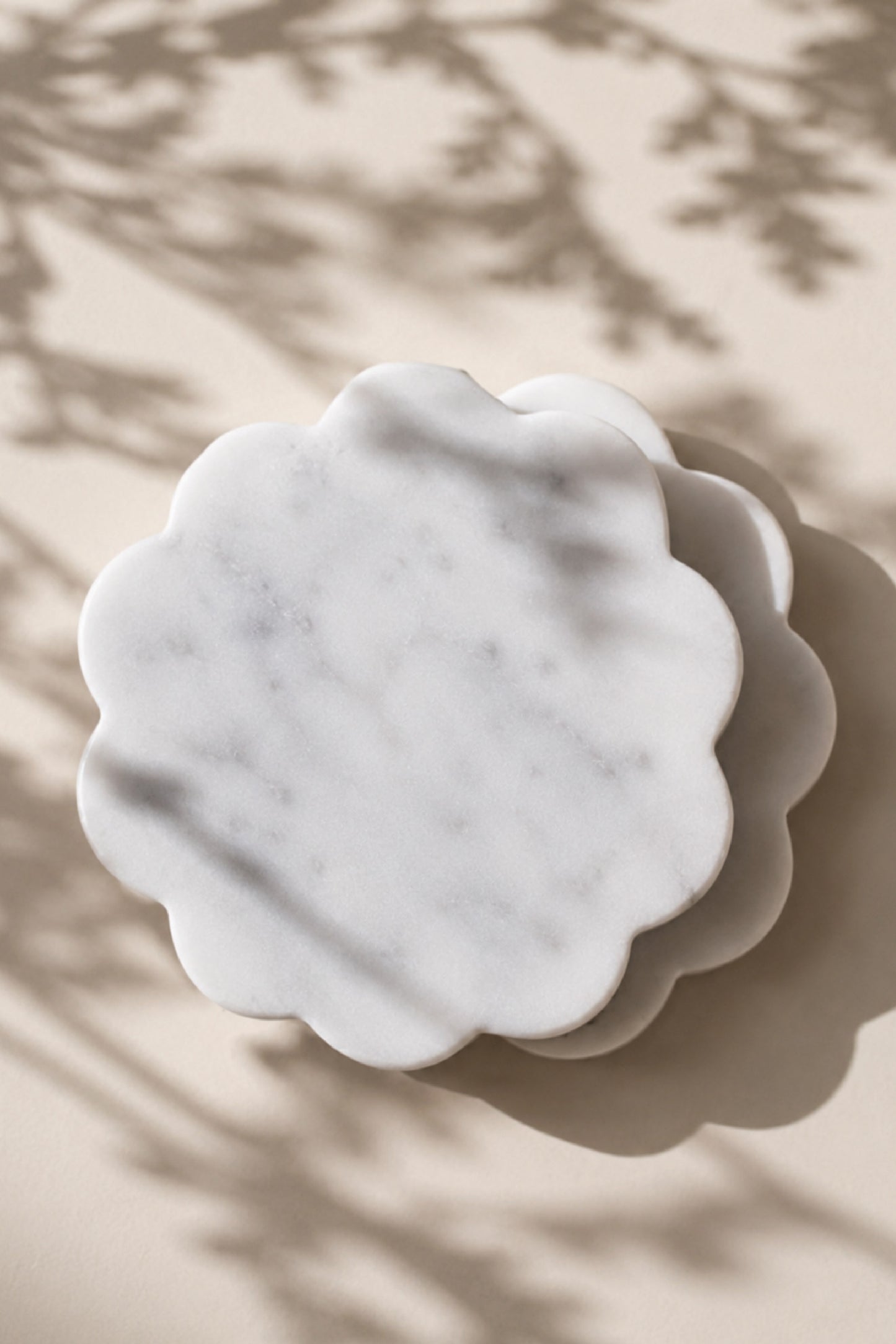 Portavaso Camelia