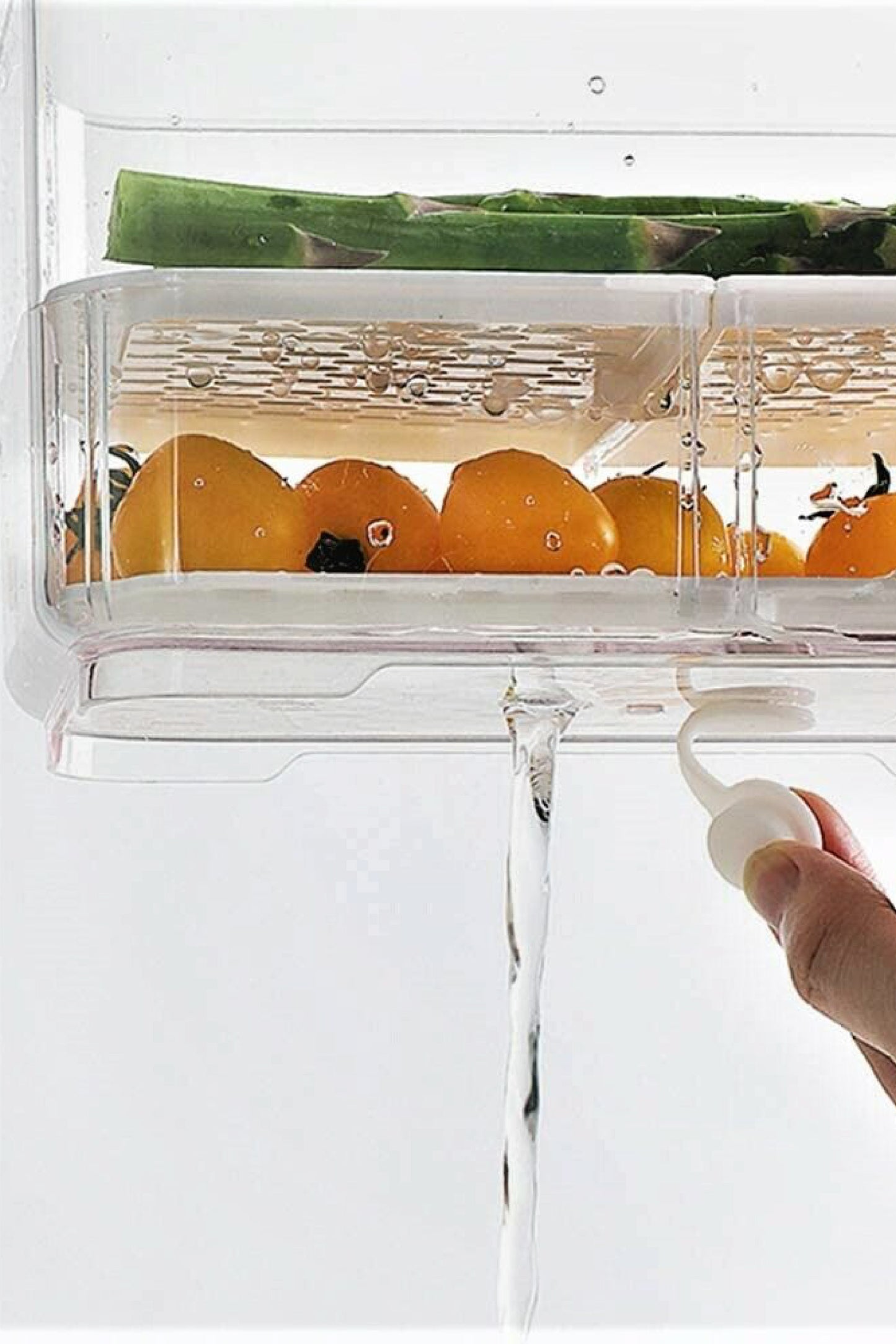 Caja Organizadora para Refrigerador